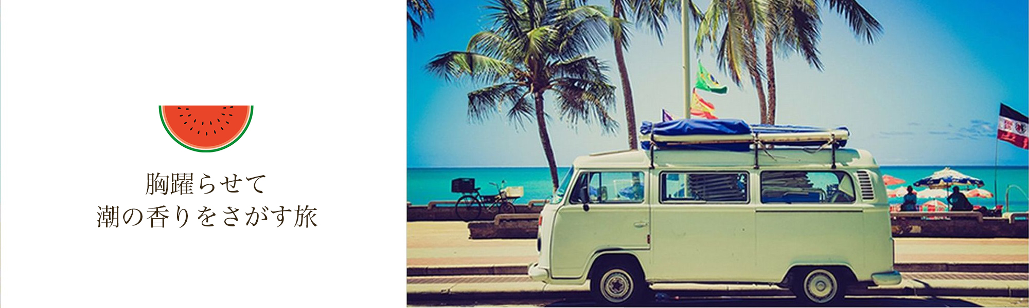 サーフィン,ロングボード